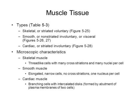 Muscle Tissue Types (Table 5-3) –Skeletal, or striated voluntary (Figure 5-25) –Smooth, or nonstriated involuntary, or visceral (Figures 5-26, 27) –Cardiac,