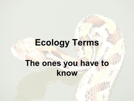 Ecology Terms The ones you have to know. Producer: An organism that can make its own food for energy.