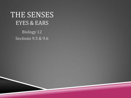 THE SENSES EYES & EARS Biology 12 Sections 9.5 & 9.6.
