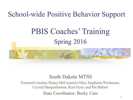 1 School-wide Positive Behavior Support PBIS Coaches’ Training Spring 2016 South Dakota MTSS External Coaches: Penny McCormick-Giles, Stephanie Weideman,