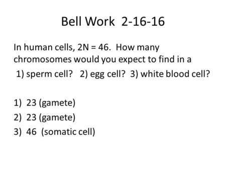 Bell Work 2-16-16 In human cells, 2N = 46. How many chromosomes would you expect to find in a 1) sperm cell? 2) egg cell? 3) white blood cell? 1)23 (gamete)