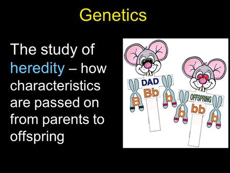 The study of heredity – how characteristics are passed on from parents to offspring Genetics.