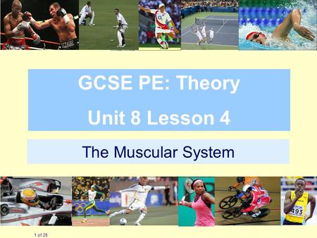 The Muscular System 1 of 28 GCSE PE: Theory Unit 8 Lesson 4.