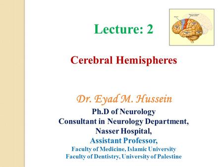 Lecture: 2 Dr. Eyad M. Hussein Cerebral Hemispheres Ph.D of Neurology
