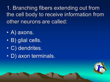 1. Branching fibers extending out from the cell body to receive information from other neurons are called: A) axons. B) glial cells. C) dendrites. D) axon.