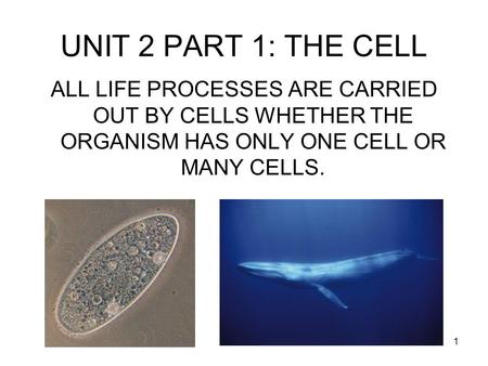 1 ALL LIFE PROCESSES ARE CARRIED OUT BY CELLS WHETHER THE ORGANISM HAS ONLY ONE CELL OR MANY CELLS. UNIT 2 PART 1: THE CELL.