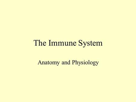 The Immune System Anatomy and Physiology Immune System Your body’s protection against pathogens (disease causing agents) Two major categories of defense:
