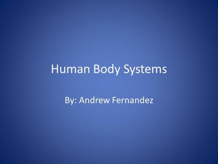 Human Body Systems By: Andrew Fernandez. The Skeletal System The skeleton protects organs such as the heart, the brain, and the lungs. It also gives us.