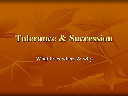 Tolerance & Succession What lives where & why. Limiting Factors factors that restrict the numbers or distribution of organisms factors that restrict the.