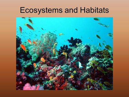 Ecosystems and Habitats. Ecosystems When you walk in nature you see many things. Some of these things are alive, like animals and plants. Some of these.