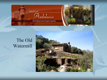 The Old Watermill. An old water mill in a truly idyllic position in a beautiful wooded valley with a traditional two storey house in need of modernizing.