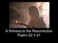 A Witness to the Resurrection Psalm 22:1-31. What was Jesus thinking on the cross?