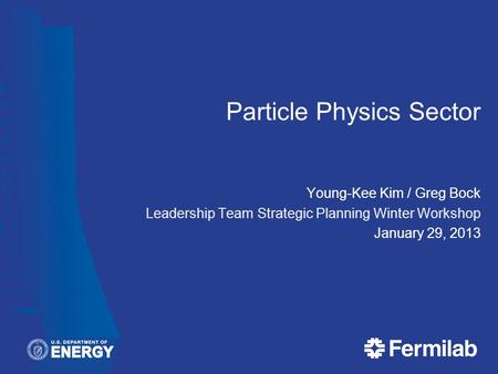 Particle Physics Sector Young-Kee Kim / Greg Bock Leadership Team Strategic Planning Winter Workshop January 29, 2013.