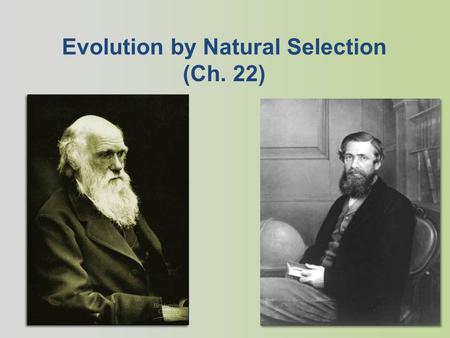Evolution by Natural Selection (Ch. 22) Charles Darwin 1809-1882 British naturalist Evolution by natural selection Supported the theory with evidence.
