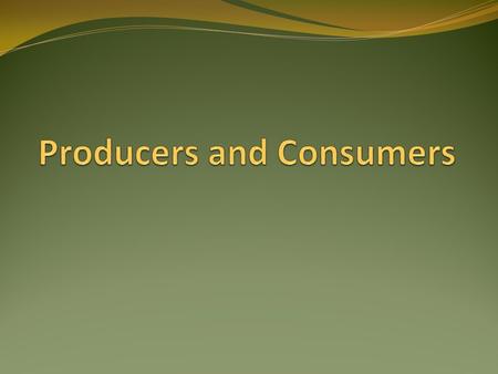 Producers ALL producers are plants Grass Trees Flowers Plankton.