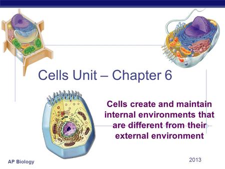 AP Biology 2007-2008 Cells create and maintain internal environments that are different from their external environment 2013 Cells Unit – Chapter 6.