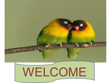 WELCOME. Greetings Good morning students How are you?
