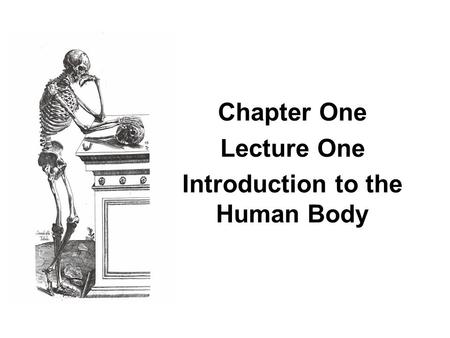 Chapter One Lecture One Introduction to the Human Body.