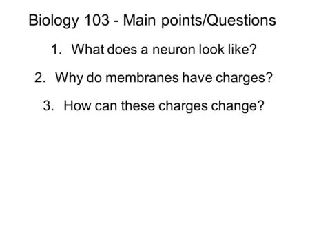 Biology 103 - Main points/Questions 1.What does a neuron look like? 2.Why do membranes have charges? 3.How can these charges change?