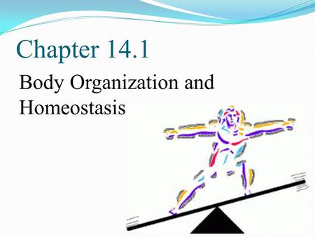 Chapter 14.1 Body Organization and Homeostasis POINT > Define Anatomy and Physiology POINT > Describe the organization of the body POINT > Review the.