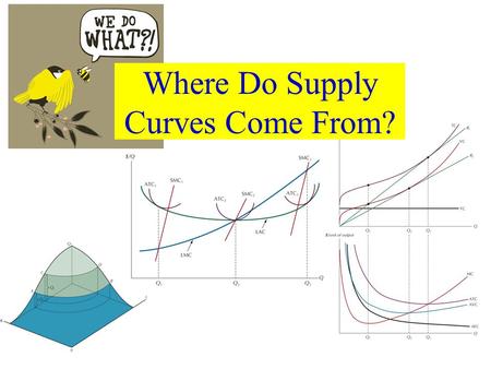Where Do Supply Curves Come From?. What IS a Supply Curve? What is the MATHEMATICAL FORMULA for LINEAR Supply? P = b + aQ.