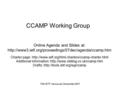70th IETF Vancouver, December 2007 CCAMP Working Group Online Agenda and Slides at:  Charter page: