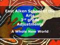 East Aiken School of the Arts 3 rd grade Adjustments A Whole New World.