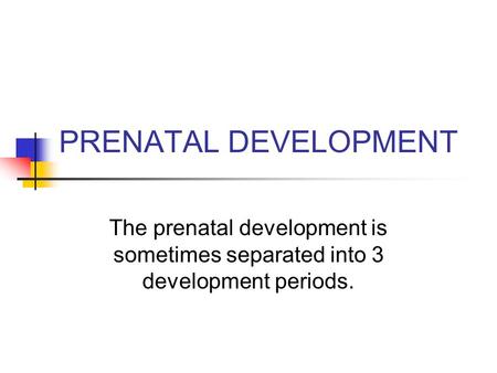 PRENATAL DEVELOPMENT The prenatal development is sometimes separated into 3 development periods.