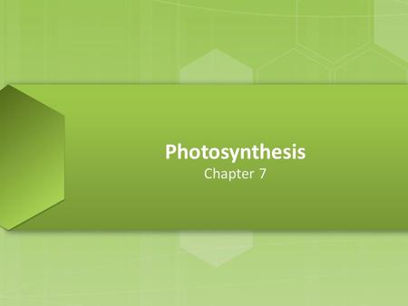 Photosynthesis Chapter 7. PHOTOSYNTHETIC ORGANISMS 7.1.