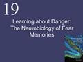 Learning about Danger: The Neurobiology of Fear Memories