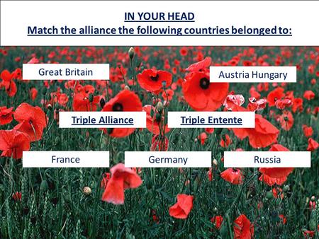 IN YOUR HEAD Match the alliance the following countries belonged to: Great Britain France Austria Hungary RussiaGermany Triple AllianceTriple Entente.