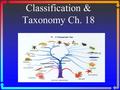 Classification & Taxonomy Ch. 18. Examples of ___________.