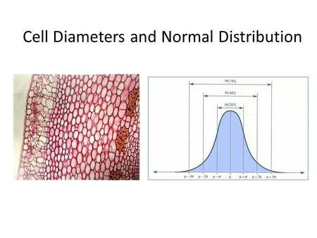 Cell Diameters and Normal Distribution. Frequency Distributions a frequency distribution is an arrangement of the values that one or more variables take.