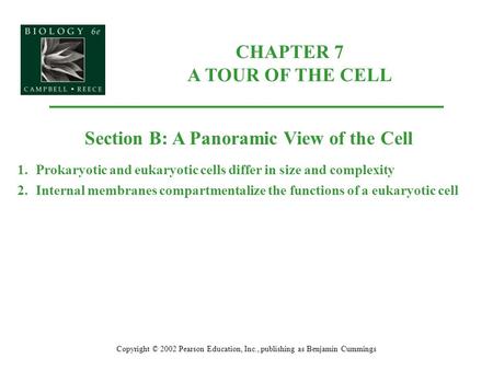 CHAPTER 7 A TOUR OF THE CELL Copyright © 2002 Pearson Education, Inc., publishing as Benjamin Cummings Section B: A Panoramic View of the Cell 1.Prokaryotic.