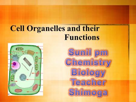 Cell Organelles and their Functions. Two Types of Cells.