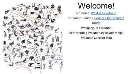 Welcome! 6 th Period: What is Evolution?What is Evolution? 5 th and 6 th Periods: Evidence for EvolutionEvidence for Evolution Today: Wrapping up Evolution.