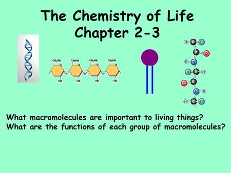 The Chemistry of Life Chapter 2-3 What macromolecules are important to living things? What are the functions of each group of macromolecules?