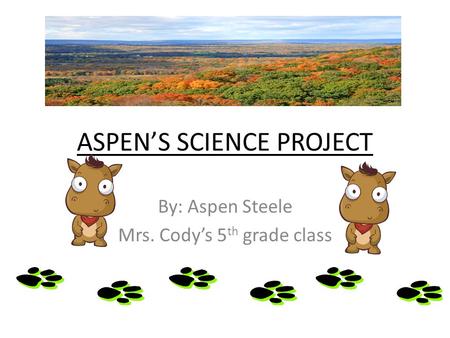 ASPEN’S SCIENCE PROJECT By: Aspen Steele Mrs. Cody’s 5 th grade class.
