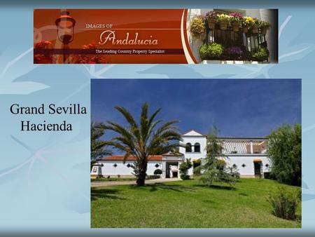 Grand Sevilla Hacienda. Set in 23 hectares of land with 17 hectares of olive plantation producing the variety Manzanilla. The olive production is around.