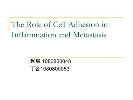 The Role of Cell Adhesion in Inflammation and Metastasis 赵燃 1080800048 丁合 1080800053.