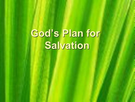 God’s Plan for Salvation. We All have sinned The Bible says in Romans 3:10-18: As it is written, There is none righteous, no, not one: There is none that.