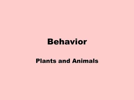 Behavior Plants and Animals. What is behavior? Anything an animal does in response to a stimulus in the environment. Behavior can be inherited or innate.