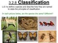 3.2.8 Classification L.O: to define a species and describe how they are named to state the principles of classification In each picture below, are the.