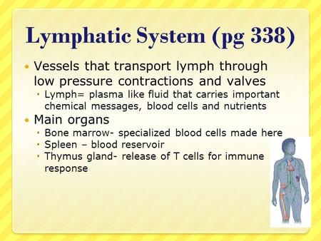 Lymphatic System (pg 338) Vessels that transport lymph through low pressure contractions and valves  Lymph= plasma like fluid that carries important chemical.
