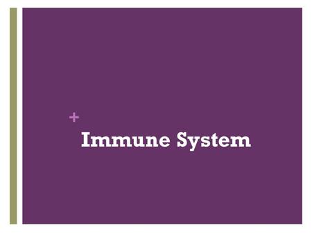 + Immune System. + What are the basics?  _____________________  _____________________is the ability of an organism to maintain a stable internal environment.