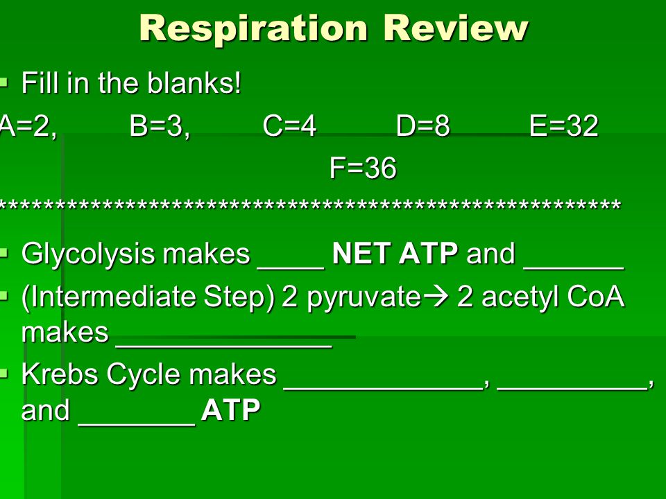 Respiration Review Fill In The Blanks A 2 B 3 C 4d 8e 32 F 36 Glycolysis Makes Net Atp Ppt Download