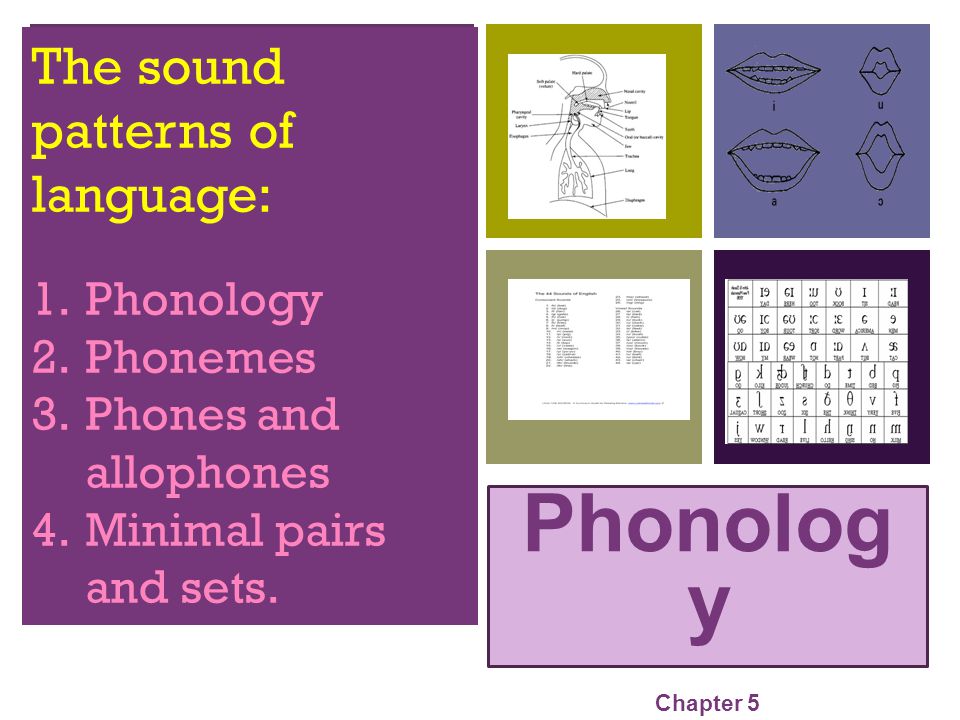 Phonolog y The sound patterns of language: Phonology Phonemes - ppt video  online download