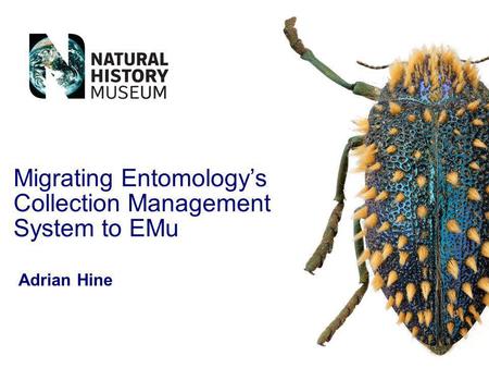 Migrating Entomologys Collection Management System to EMu Adrian Hine.