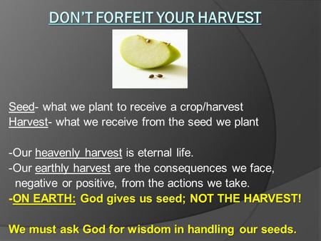 Seed- what we plant to receive a crop/harvest Harvest- what we receive from the seed we plant -Our heavenly harvest is eternal life. -Our earthly harvest.