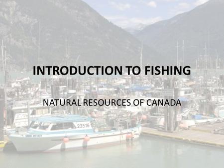 A Brief History of Fishing Back in 1497, when John Cabot arrived on the  Eastern Coast of North America there were a lot of fish! Since the 1400's,  Europeans. - ppt download
